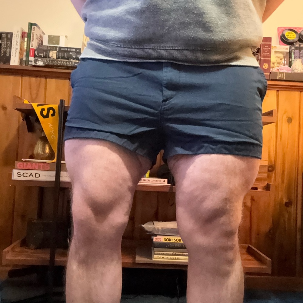 Navy Chubbies 2” Shorts
